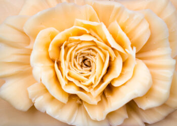 Unleashing Creativity and Bonding Generations: The Art of Soap Carving