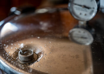 The Benefits and Risks of Pressure Cookers for Grandparents That Live Alone